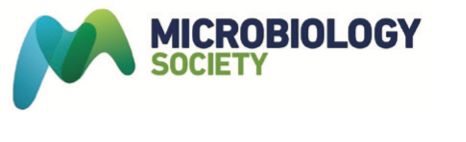 Microbiology Society